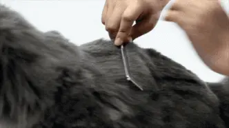 Loose hair stays on the comb instead of flying around, making cleanup much easier.