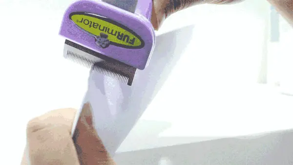 We use an A4 sheet of paper to simulate the cutting effect of the FURminator deshedding tool, showing how its blade works during deshedding.